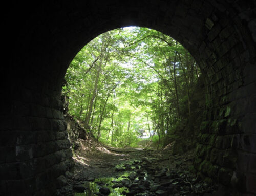 Ver La Luz Al Final Del Túnel.